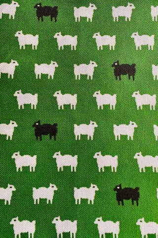 Baa in New Canaan Green