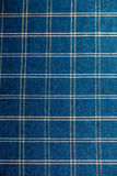 Briarly Tattersall in Lynden Blue