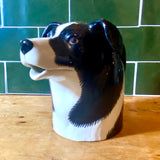 Border Collie Creamer