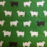 Baa - in New Canaan Green