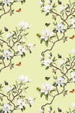 Hawthorne Floral in Sunporch Yellow