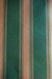 Ludlow Stripe in Boxwood Green