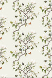 Hawthorne Floral in Gardenia White