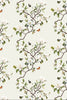 Hawthorne Floral in Gardenia White