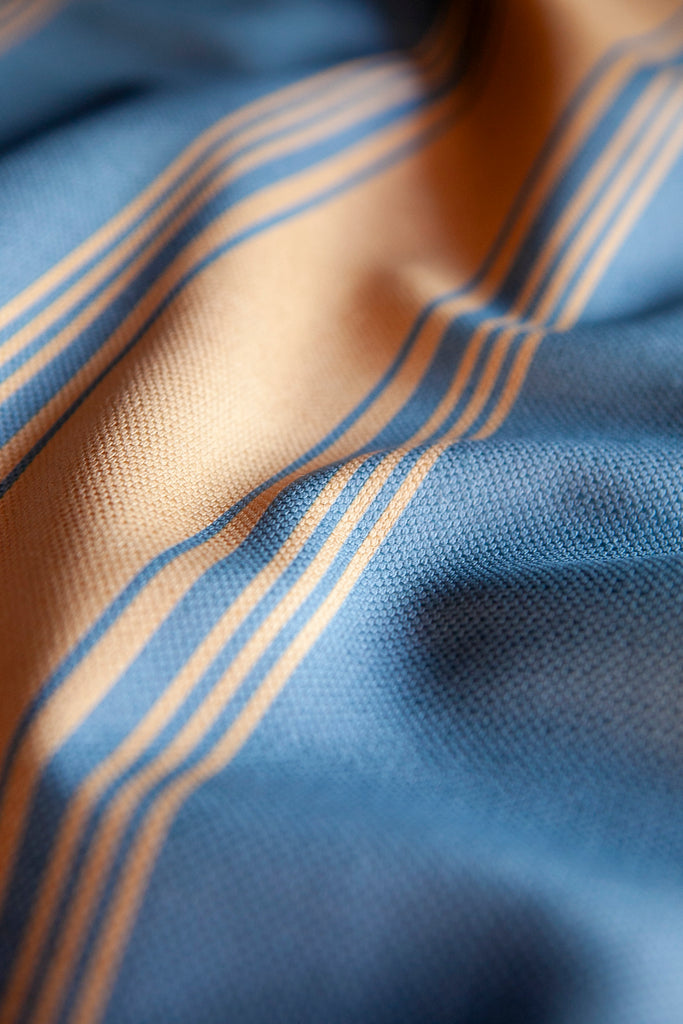 Ludlow Stripe in Brittany Blue