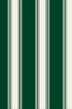 Ludlow Stripe Wallpaper in British Racing Green