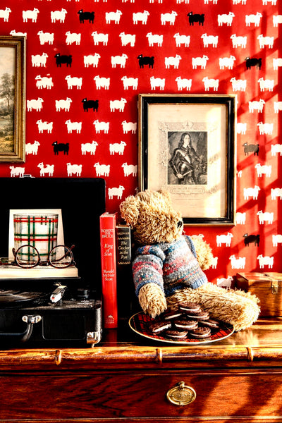 Baa Wallpaper in New Preston Red