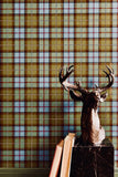 Matthew Tartan Wallpaper