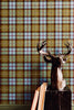 Matthew Tartan Wallpaper