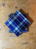 Pair of Rex Tartan Glass Coasters